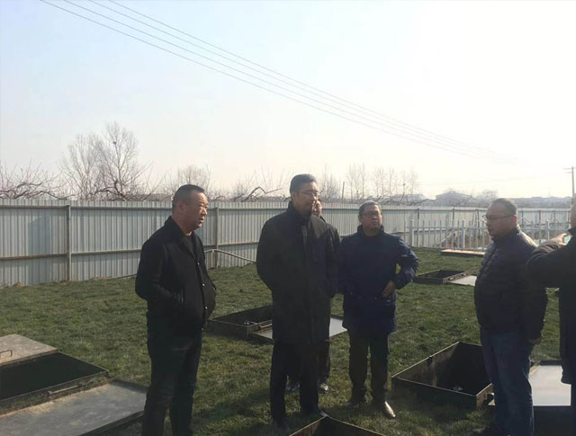 市委常委王現坤到我公司視察調查